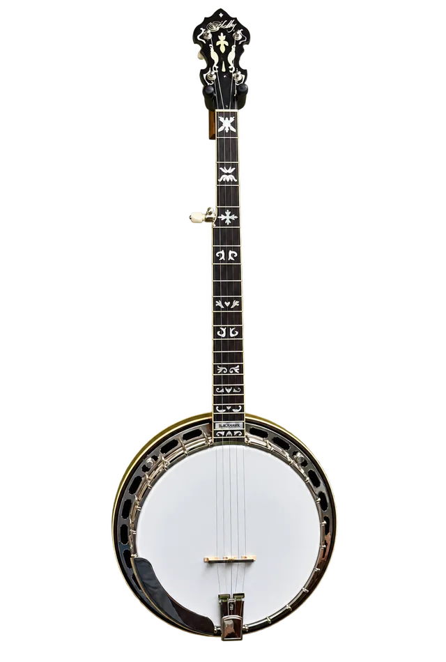 Shelby Blackhawk banjo with Flying Eagle inlay