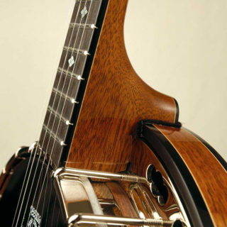 deering black diamond banjo