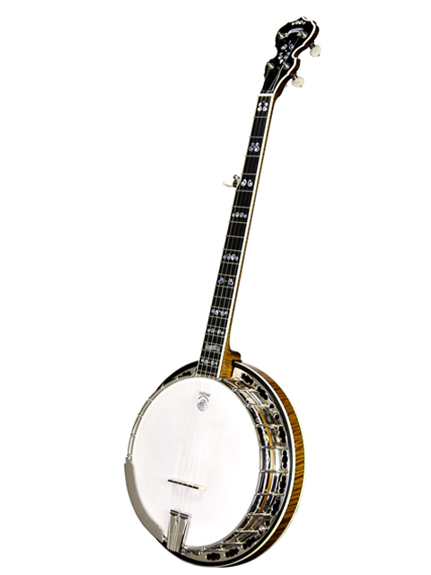 deering calico 5 string banjo