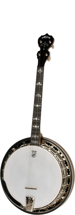 deering sierra 17 fret tenor banjo