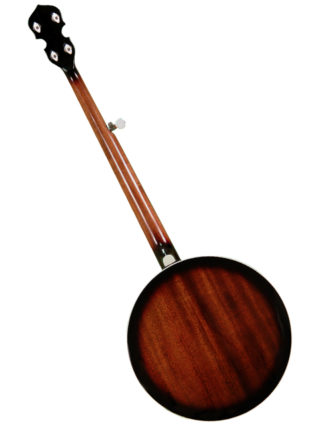 gold-tone-bg-150f-banjo