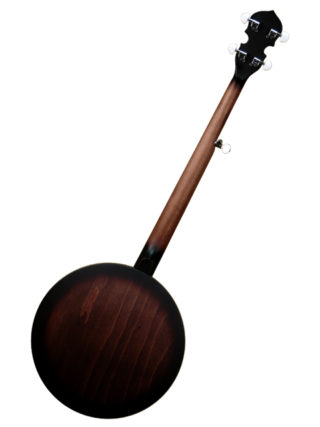 gold tone cc-bg banjo