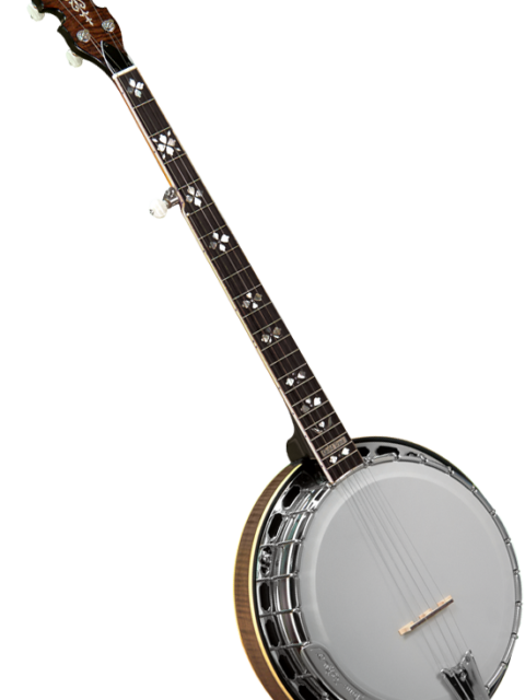 morgan monroe banjo vs gold tone 100