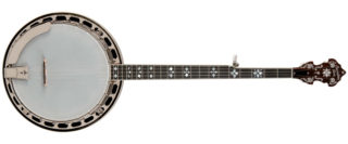 recording king elite 76 banjo