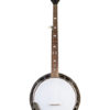 recording king madison resonator r-25