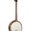 recording king six string banjo madison g25