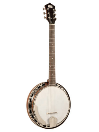 recording king six string banjo madison g25