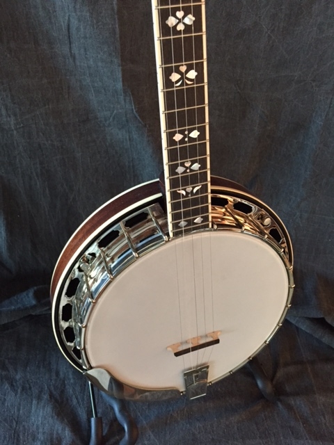 recording king rk 80 banjo for sale