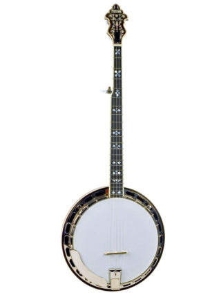 recording king rk r80 professional resonator banjo