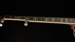 recording king elite 76 banjo