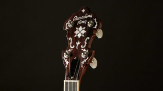 recording king elite 76 banjo