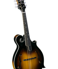 Rover RM-75 F-Model Mandolin | Banjo.com