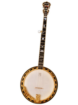 deering texas 5 strong banjo