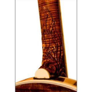 deering tree of life