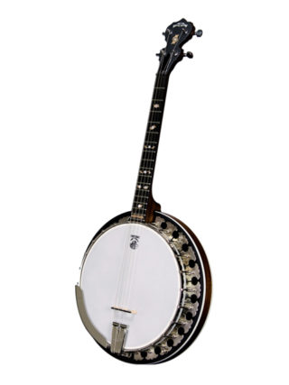 deering boston 17 fret tenor