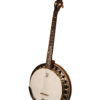 deering boston 19 fret tenor banjo