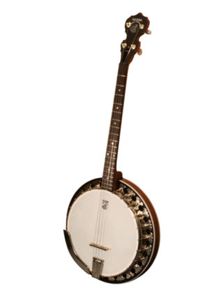deering boston 19 fret tenor banjo
