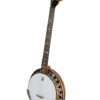 deering boston 6 string banjo