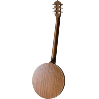 deering boston 6 string banjo