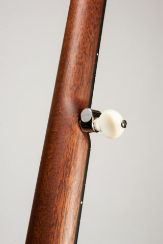 deering boston 5 string banjo