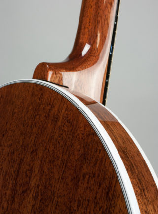 deering deluxe 6 string