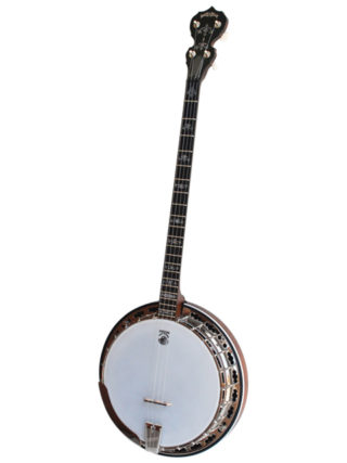 deering sierra plectrum banjo