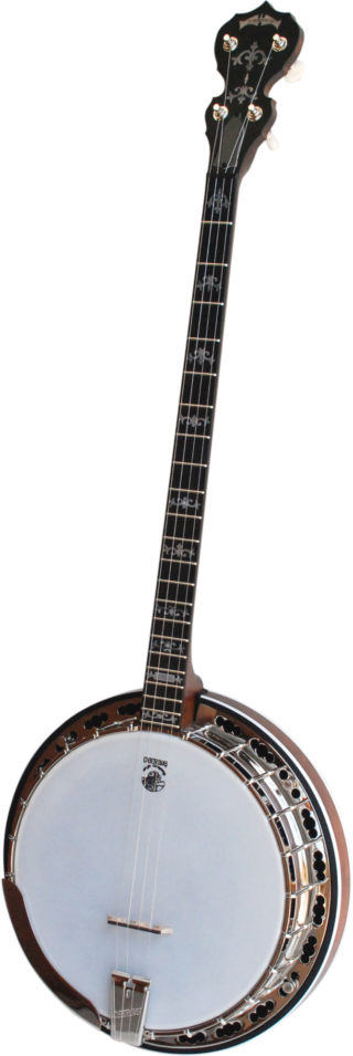 deering sierra plectrum banjo