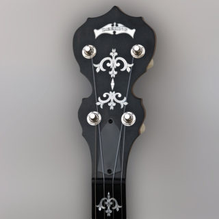 deering sierra plectrum banjo