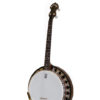 vega little wonder 17 fret tenor banjo