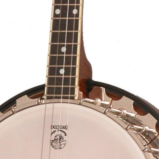 vega professional 19-fret tenor banjo
