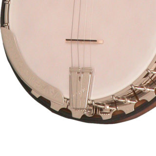 vega professional 19-fret tenor banjo