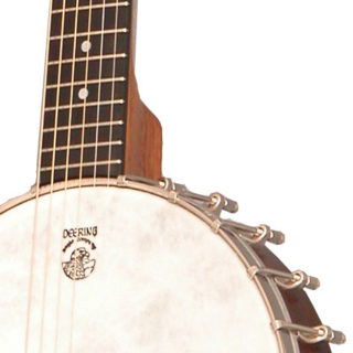 vega senator 6 string banjo