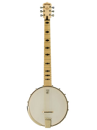 Used 6 outlet string banjo