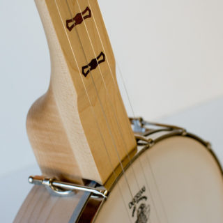 goodtime fretless scooped openback banjo