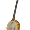 deering phoenix 6 string banjo