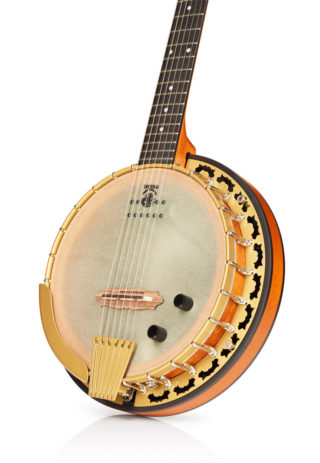 deering phoenix 6 string banjo