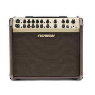 fishman loudbox artist banjo amplifier