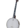 artisan goodtime 17 fret tenor banjo
