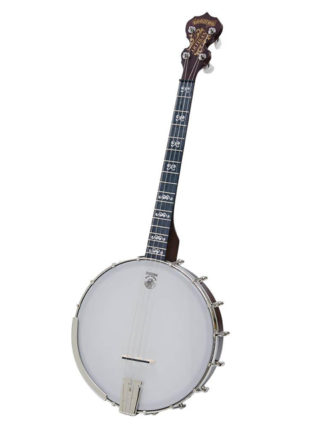 artisan goodtime 17 fret tenor banjo