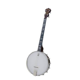 artisan goodtime 19 fret tenor banjo