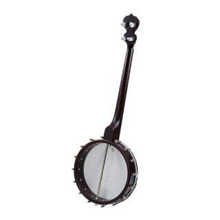 artisan goodtime 19 fret tenor banjo