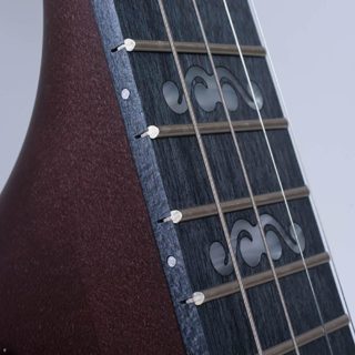 artisan goodtime 19 fret tenor banjo