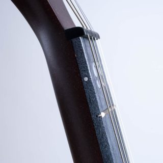 artisan goodtime 19 fret tenor banjo