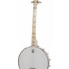goodtime 17-fret tenor banjo