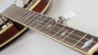 recording king m5 banjo