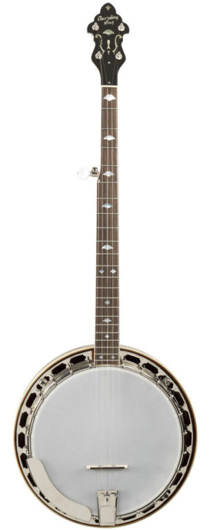 recording king m5 banjo