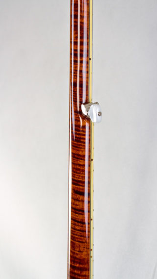 recording king m5 banjo