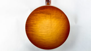 recording king m5 banjo