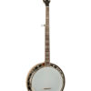 recording king m7 banjo
