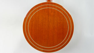 recording king m7 banjo